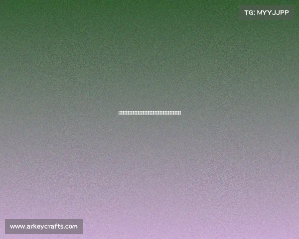 天津全运会女排赛事激情对决巾帼英姿赛场风云扣人心弦